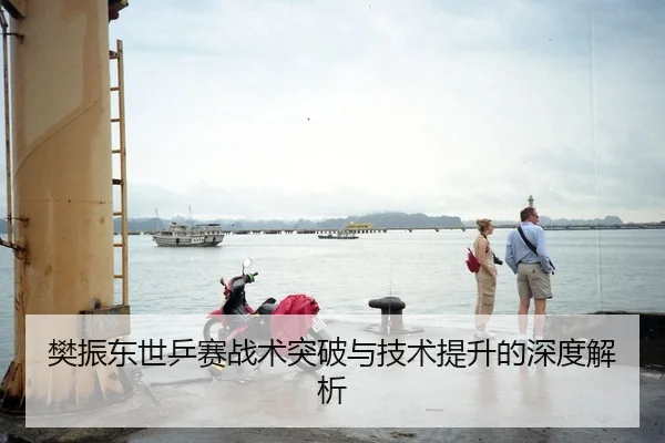 樊振东世乒赛战术突破与技术提升的深度解析